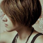 2015 kısa saç modelleri (8)