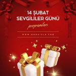 2024-sevgililer-gunu