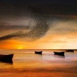 güzel-günbatımı (1)