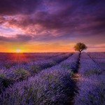 güzel-günbatımı (4)