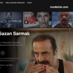 organize-isler-sazan-sarmali-netflix