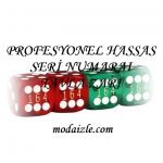 profesyonel-hassas-seri-numaral-tavla-zar